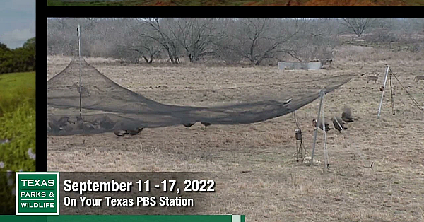 Pbs Preview - Hueco Tanks, Turkey Trapping, Texas Rat Snake