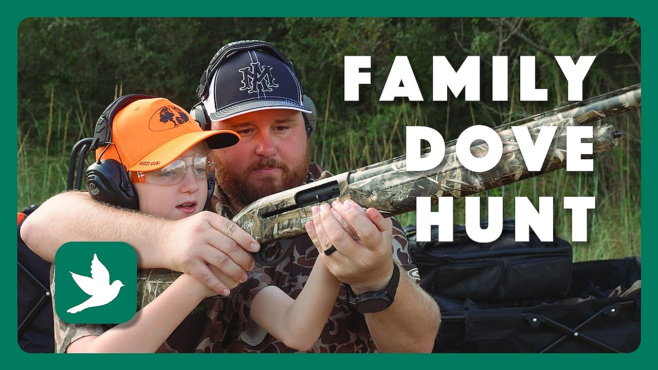 A Family Dove Hunt