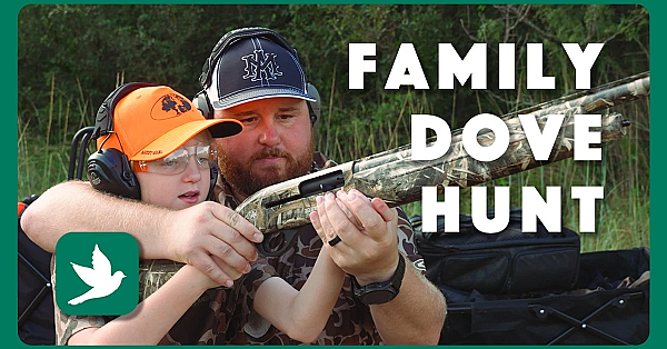 A Family Dove Hunt