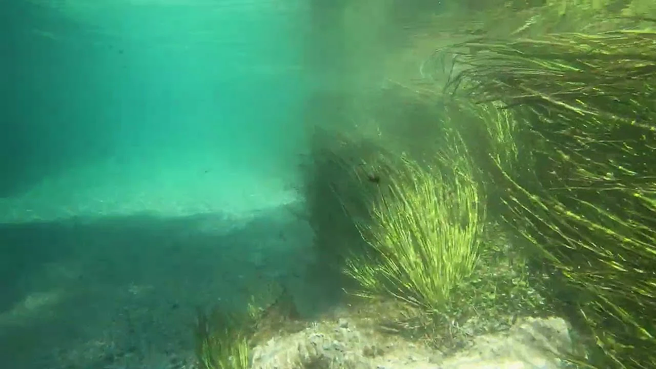 Postcard From Texas: The San Marcos River