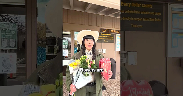 Flowers Or Park Pass? #valentinesday