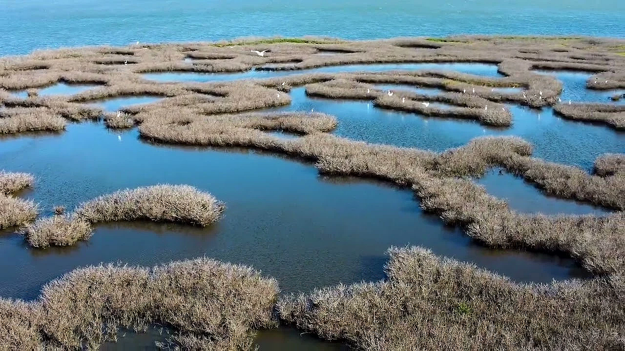 Postcard From Texas: Over Espiritu Santo Bay