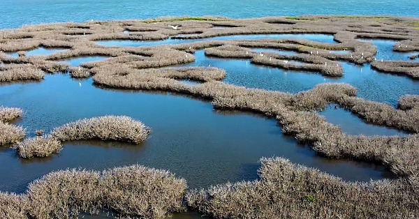 Postcard From Texas: Over Espiritu Santo Bay