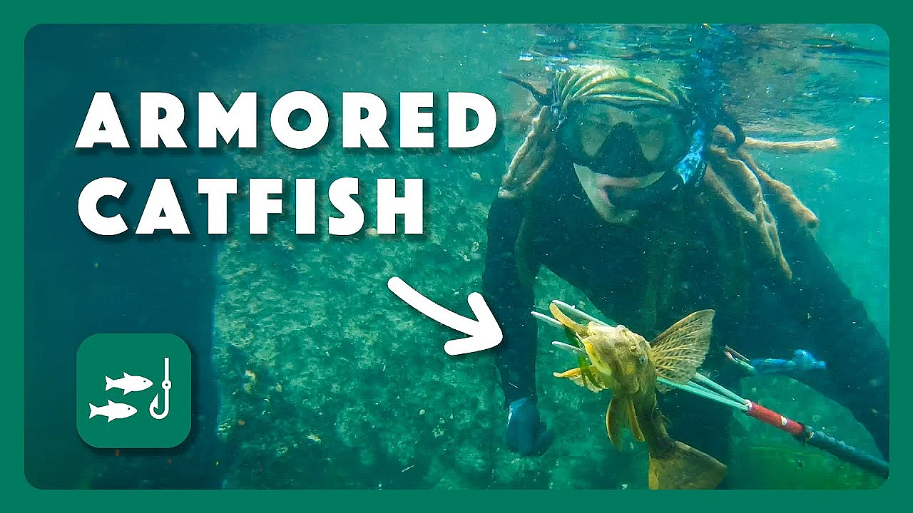 Fighting An Armored Invasion