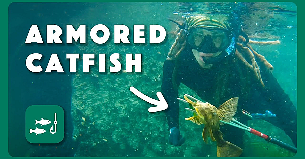 Fighting An Armored Invasion