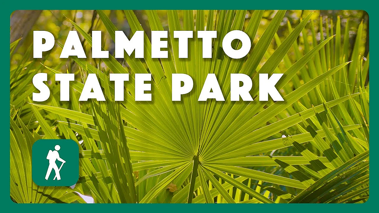 Palmetto State Park - Postcard From Texas