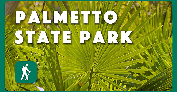 Palmetto State Park - Postcard From Texas