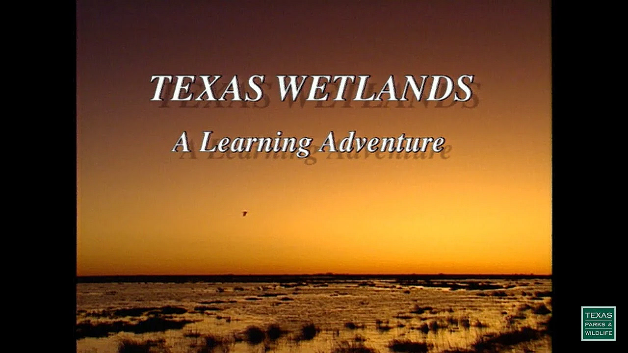 Texas Wetlands: A Learning Adventure - 1994
