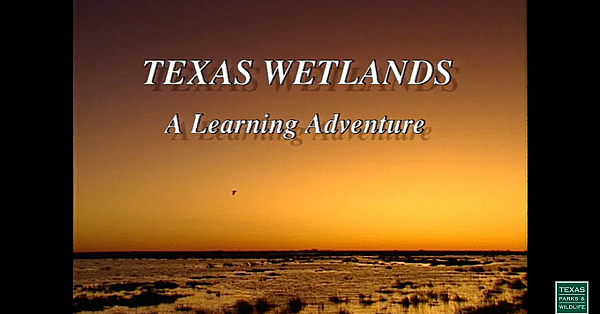 Texas Wetlands: A Learning Adventure - 1994