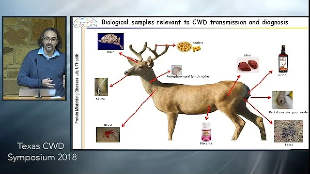 Texas Cwd Symposium: Pre-symptomatic Prion Detection