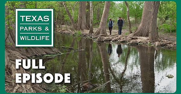 Pbs Show - Horned Lizards, Cibolo Nature Center &amp; Cooper Lake