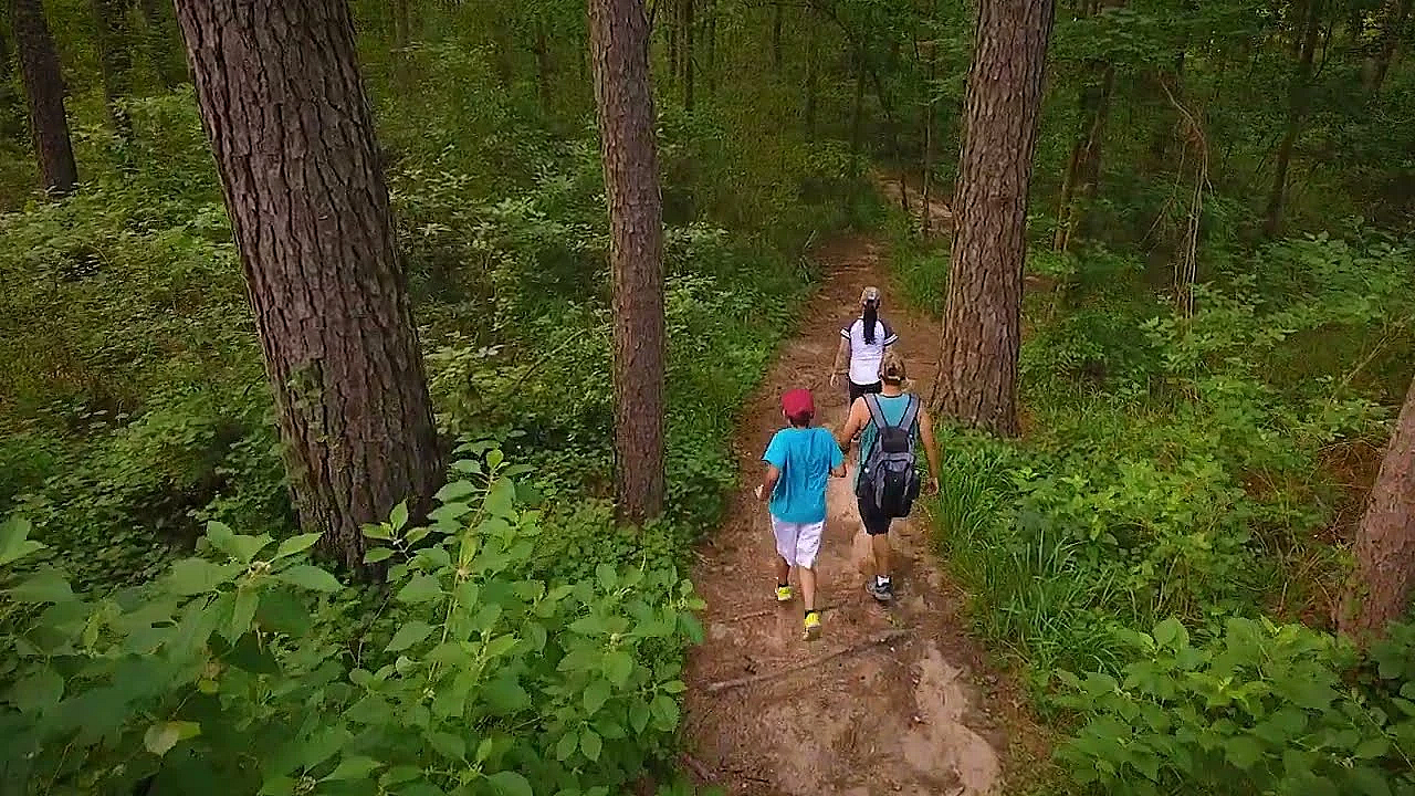 Postcard From Texas: Over Huntsville State Park