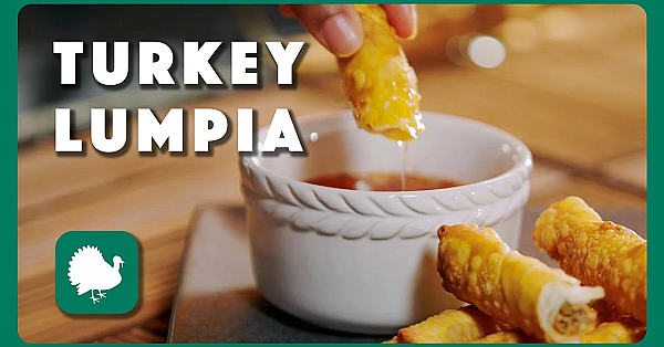 Turkey Lumpia