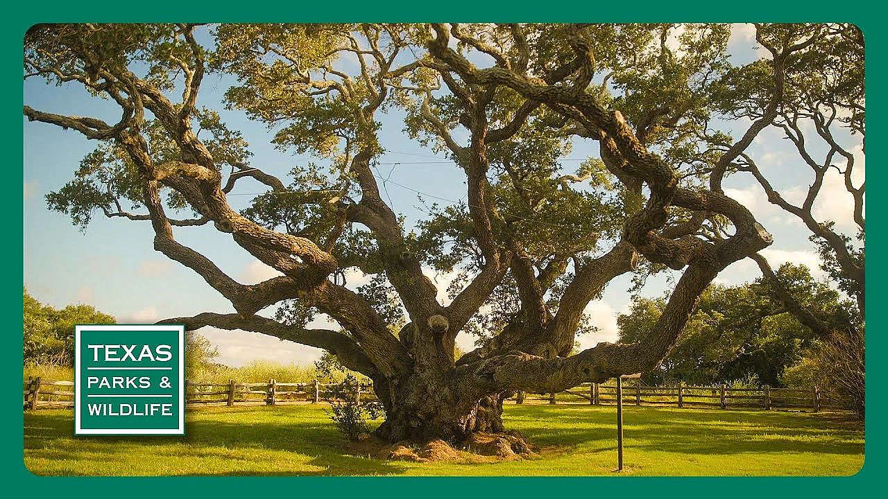 Tpw Trailer - Episode 7, Season 40