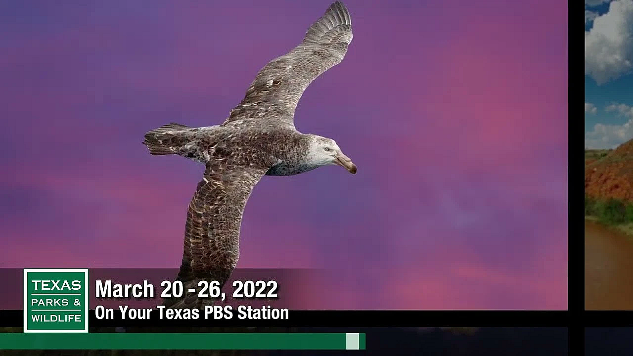 Pbs Preview - Nature Photographer Memories, Cooper Lake, On-call Team