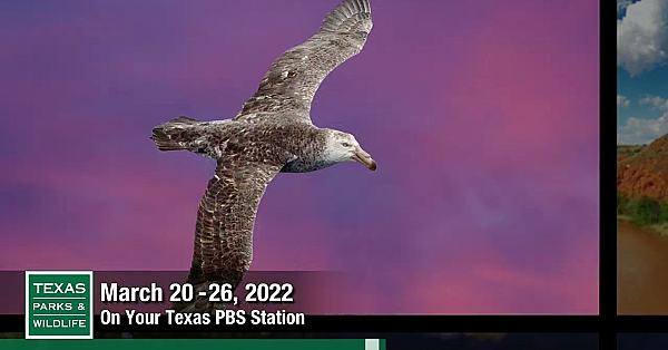 Pbs Preview - Nature Photographer Memories, Cooper Lake, On-call Team