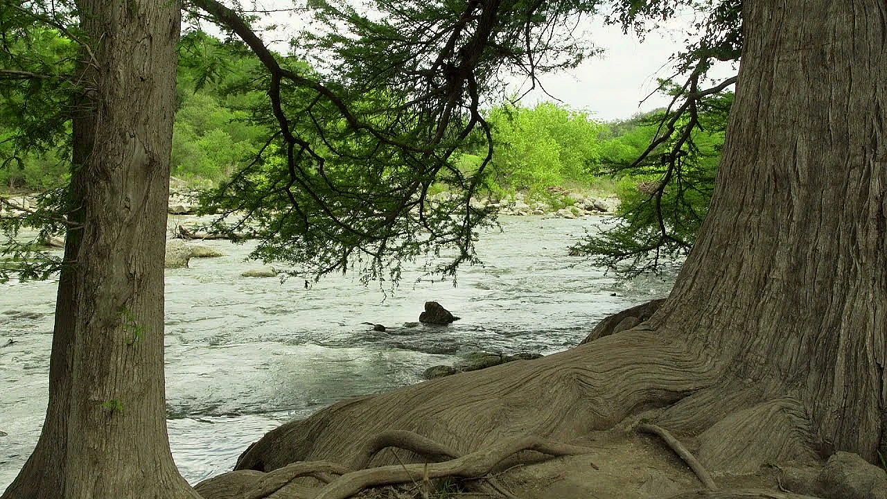 Postcard From Texas: Guadalupe River State Park