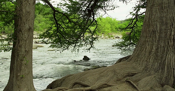 Postcard From Texas: Guadalupe River State Park
