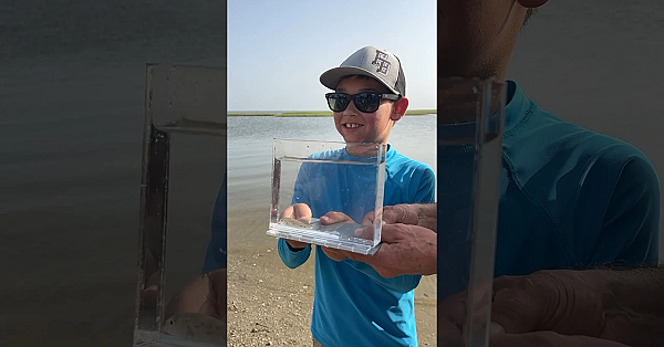 1 Billionth Fish Release #texasfishing