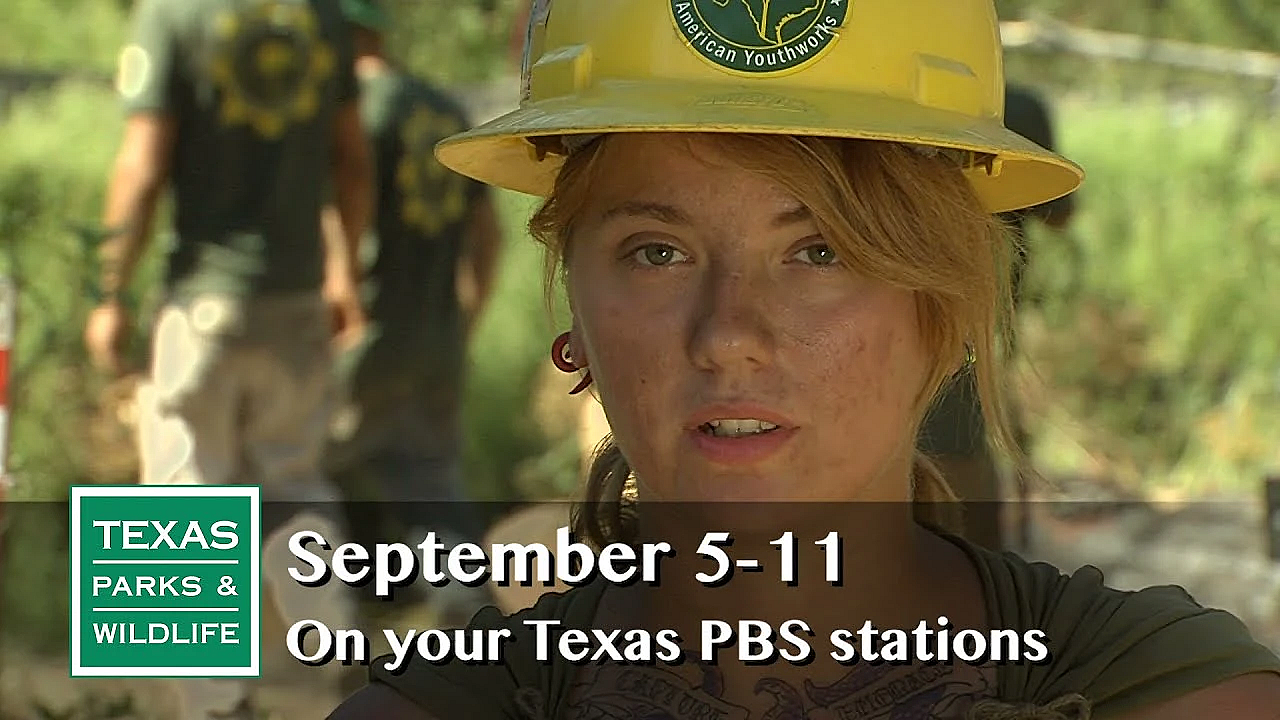 Pbs Preview - Bastrop's Back, Gator Hunt, Alligator Chili Relleno - #2922