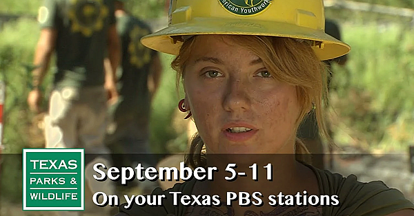 Pbs Preview - Bastrop's Back, Gator Hunt, Alligator Chili Relleno - #2922