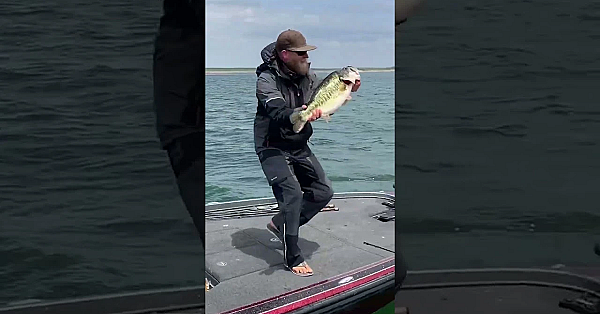 Big Bass Sharelunker Release