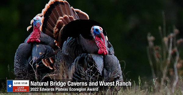 2022 Lone Star Land Steward: Natural Bridge Caverns &amp; Wuest Ranch