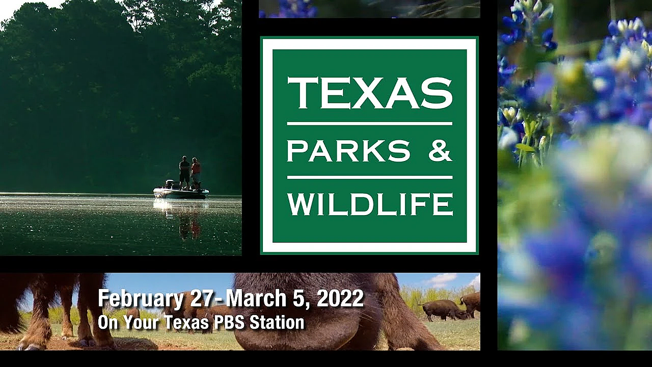 Pbs Preview - Nomadic Photographer, Water Critters &amp; Lockhart State Park - #3021