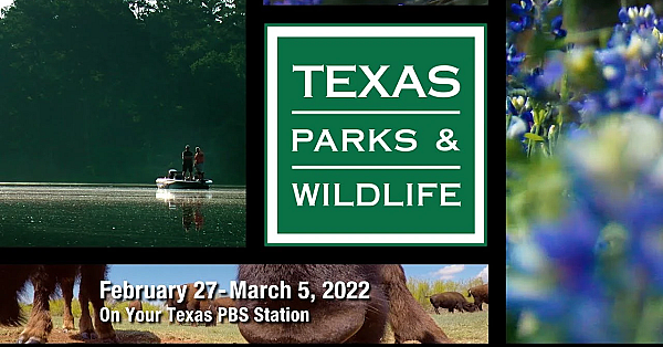 Pbs Preview - Nomadic Photographer, Water Critters &amp; Lockhart State Park - #3021