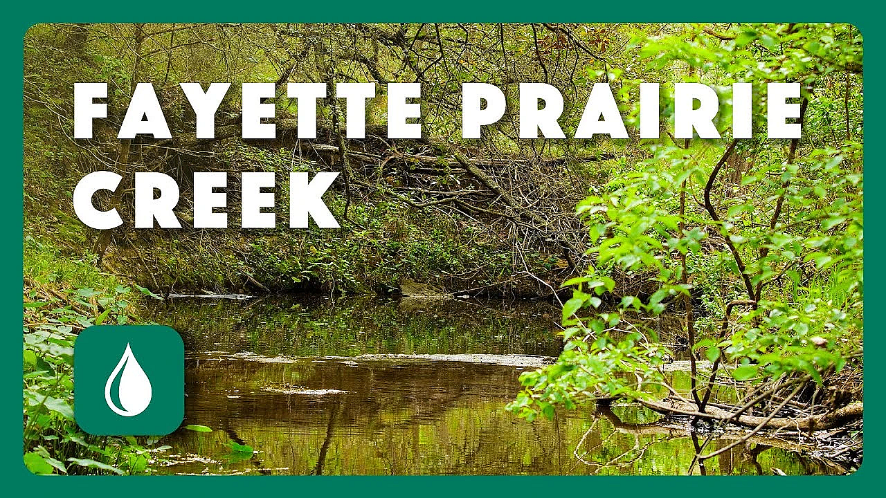 Fayette Prairie Creek - Postcard From Texas