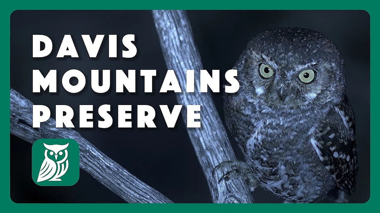 A Night At Davis Mountains Preserve: Postcard From Texas