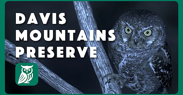 A Night At Davis Mountains Preserve: Postcard From Texas