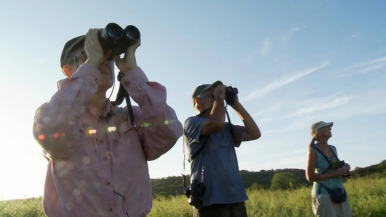 A Passion For Birds, Shelia Hargis - Texas Parks &amp; Wildlife [official]