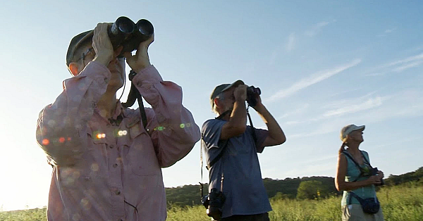 A Passion For Birds, Shelia Hargis - Texas Parks &amp; Wildlife [official]