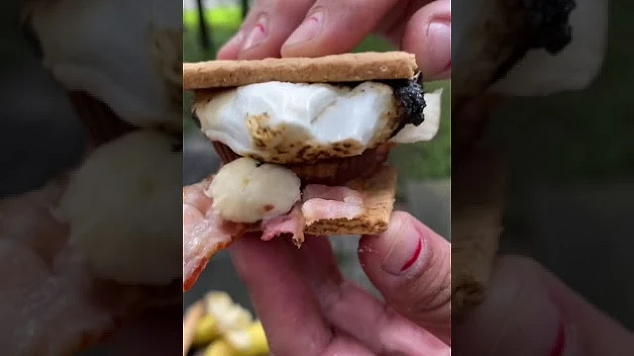 Happy National S’mores Day From Texas Parks And Wildlife! #shorts