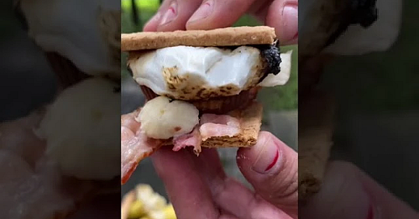 Happy National S’mores Day From Texas Parks And Wildlife! #shorts