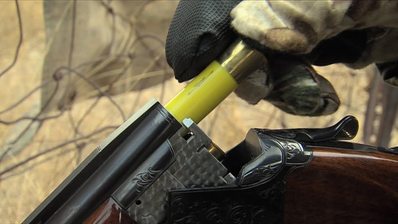 Will Hunt For Food - Texas Parks &amp; Wildlife [official]