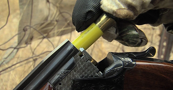 Will Hunt For Food - Texas Parks &amp; Wildlife [official]