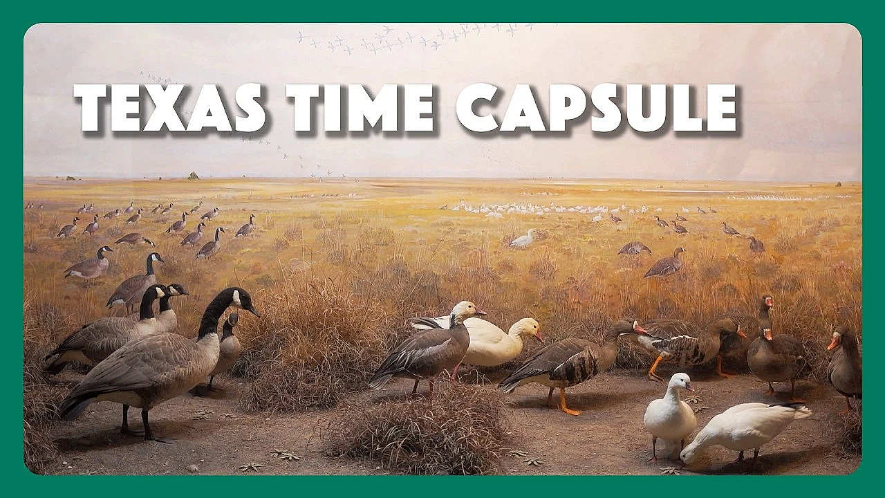 Texas Time Capsule