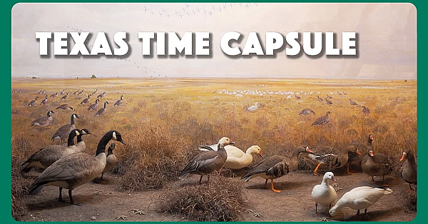 Texas Time Capsule