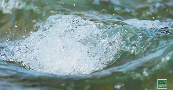 Slow Day On The Llano River - Postcard From Texas