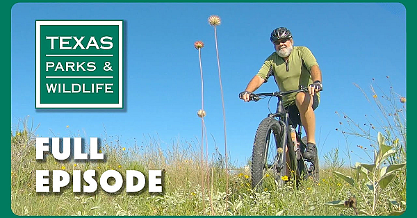 Pbs Show - Trail Taming Troubadour, Melton Ranch &amp; Park Arts