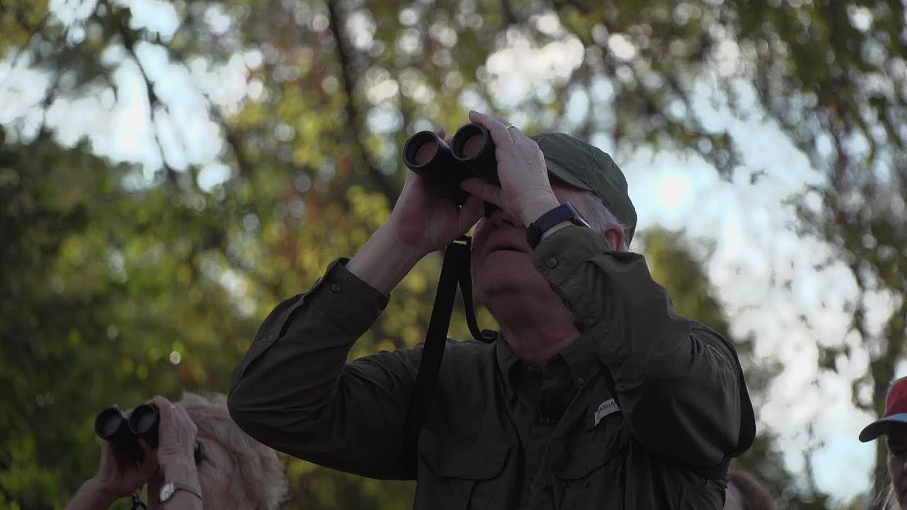 Bringing Birds To Bastrop