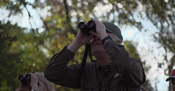 Bringing Birds To Bastrop