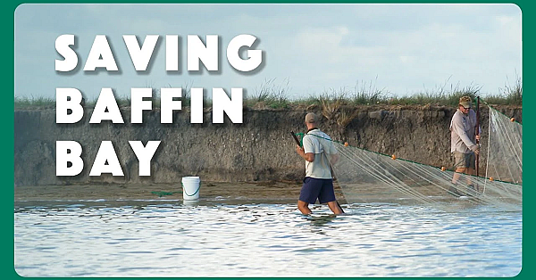 The Science Of Saving Baffin Bay