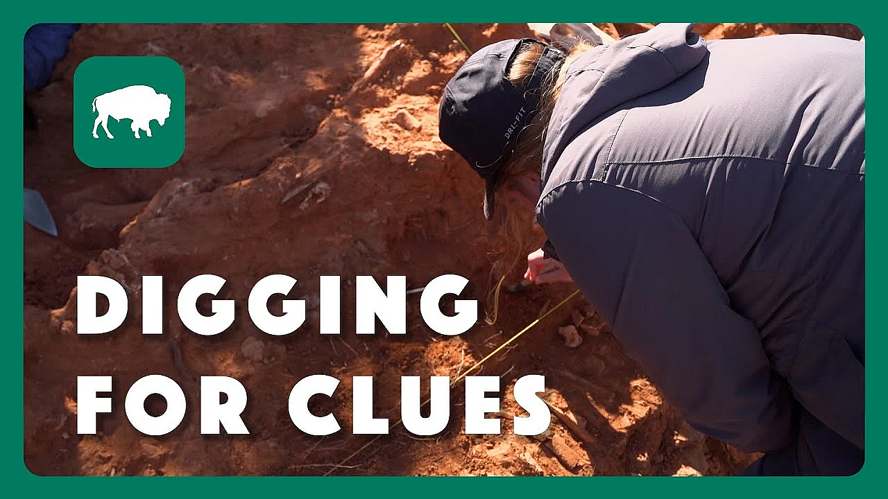 Digging For Clues