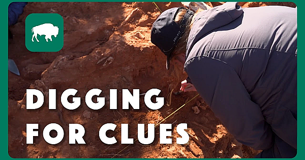 Digging For Clues