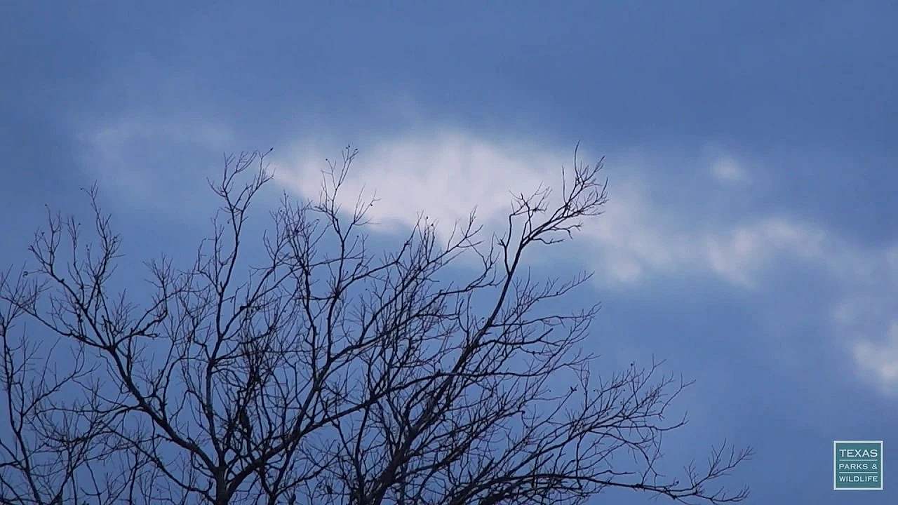 Postcard From Texas: The Changing Seasons