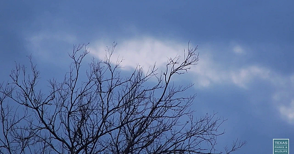 Postcard From Texas: The Changing Seasons