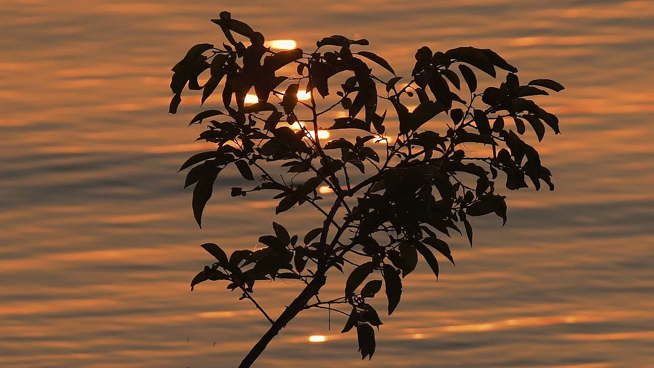 Postcard From Texas: Cooper Lake Waves